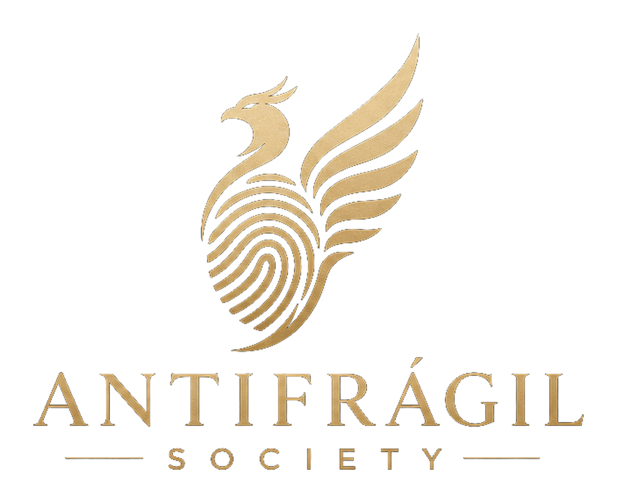 Antifrágil Society